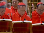 Aloisius / Aloisium: What’s in a (Latin) name?