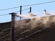 Catholic cardinals elect new pope, white smoke billows from Sistine Chapel