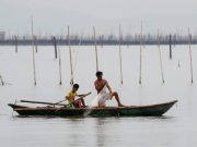 Philippine marine life under threat from industrial fishing