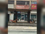 Manila photo store goes viral after street cleared in city clean-up drive