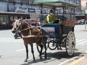 ‘Grabayo’: Pinoy commuter braves Manila floods with kalesa ride