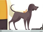 Fur parent lets pet dog sit on table at food establishment in Pasig mall