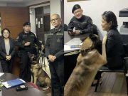 Animal welfare org vows to monitor viral K9 dog’s condition as PNP unit affirms fitness for duty