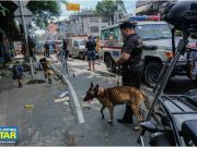 Photos of K9 dog used by police in Manila bomb investigation draw concerns