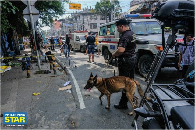 K9 dog_Manila