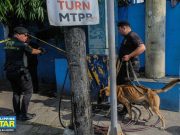 ‘Heroes deserve better’: Animal org flags condition of PNP K9 dog