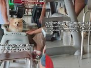 Dining like a human: Dog seen in baby high chair, ‘drinking’ from glass at fast food chain