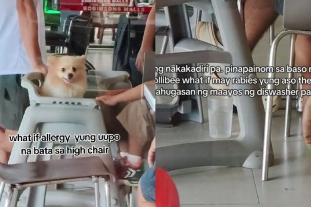 TikTok_pet dog