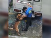 Meralco addresses viral video of K9 dog mistreatment
