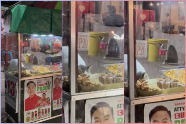 cat-food-stall
