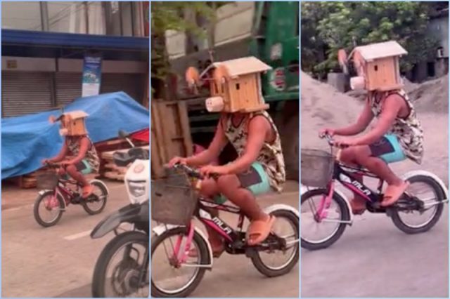 cyclist-bird-box