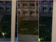 Watch: Creepy merry-go-round spins on its own in Pasay