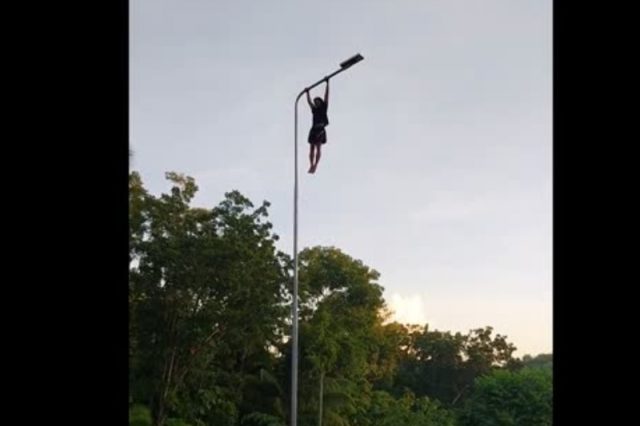 tabogon-cebu-pull-up