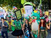 Why US activists are wearing inflatable frog costumes at protests against Trump