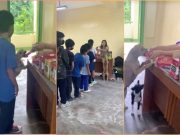 Spotted: Stray dog joins pupils as they collect food in classroom in General Santos City