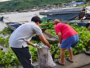 Coastal clean-up on Talim island engages volunteers to protect Laguna de Bay