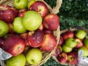 French apples make their way to Filipino tables