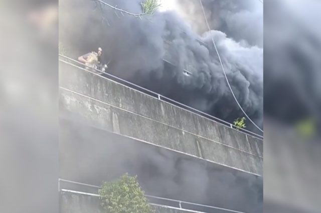 Woman_dog rescue