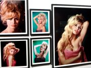 Brigitte Bardot defined the modern woman and defied social norms