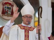 Cardinal decries ‘soft pork’ in health, social services