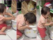 ‘Rice is life’: Toddler dives into rice cooker for snack in Malabon