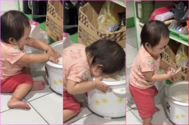 rice-toddler