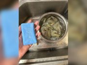 Soap seen in photo with uncooked shrimp sparks online reactions
