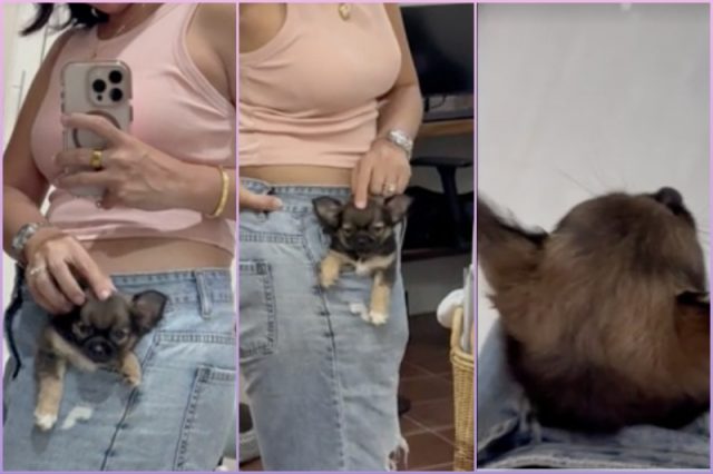 tiny-pocket