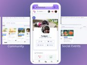 New app helps track missing pets