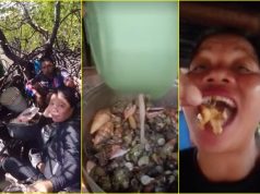 Food vlogger dies after ‘eating highly toxic devil crab’ in Puerto Princesa