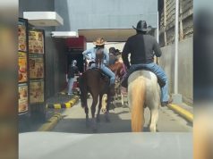 ‘Balik muna sa kalesa’: Horseback riders make unusual stop at Bukidnon drive-thru