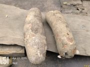 Public cautioned over stolen cassava containing cyanide