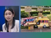 Ana Patricia Non’s warning on agri middlemen strikes chord Ana Patricia Non at Senate hearing
