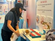 Vet advises limiting treats for pets