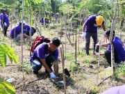 Tree planting, waste reduction, sustainability programs mark Earth Month efforts nationwide