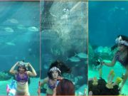 Watch: Mermaid pulls funny faces for tourists visiting Cebu aquarium