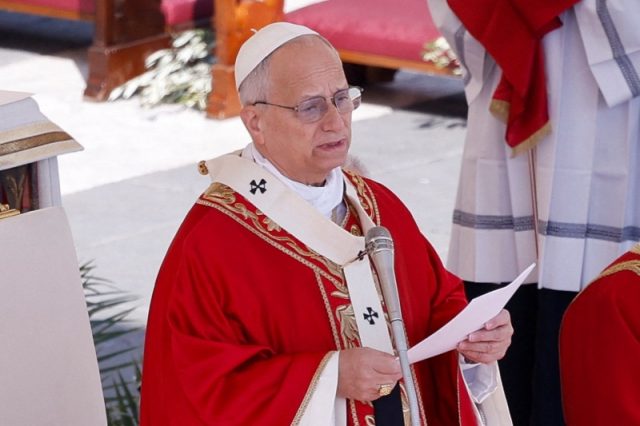 pope-leo-xiv-homily-palm-sunday