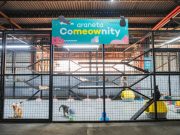 From streets to shelter: ‘CoMEOWnity’ launched for stray cats