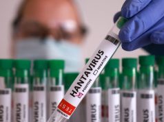 What Filipinos should know about hantavirus amid global health reports