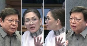 Marcoleta v Hontiveros