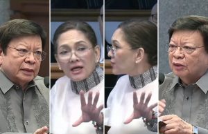 Marcoleta v Hontiveros