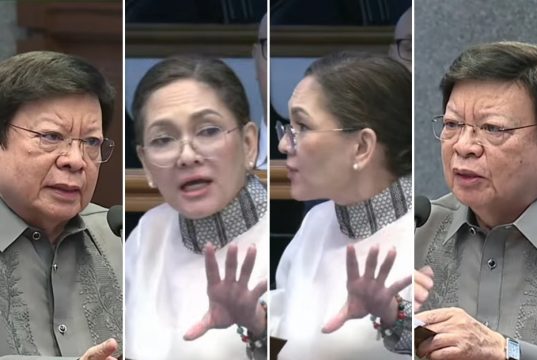 Marcoleta v Hontiveros