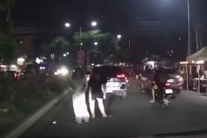 Pedestrians’ unexpected bowing gesture while crossing road draws attention