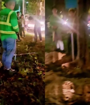 ‘What’s happening?’: DENR probes Roxas Boulevard tree-cutting despite suspension