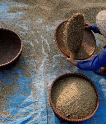 Vietnam rice export prices fall as Philippines pauses rice imports