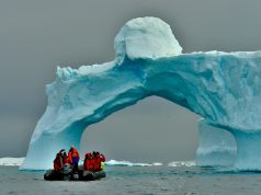 ‘I can’t work in the farce of climate change cruise tourism anymore’: why Antarctic guides quit their dream jobs